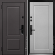 TD-DELFA.M100M.1 с умным замком MORGAN SECRET SN-K8LW TD-DELFA.M100M.1 с умным замком MORGAN SECRET SN-K8LW
